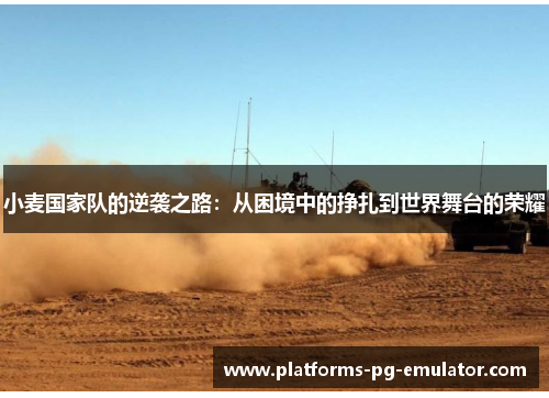 小麦国家队的逆袭之路：从困境中的挣扎到世界舞台的荣耀
