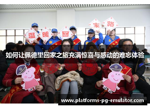 如何让佩德里回家之旅充满惊喜与感动的难忘体验