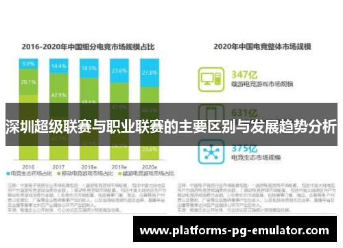 深圳超级联赛与职业联赛的主要区别与发展趋势分析