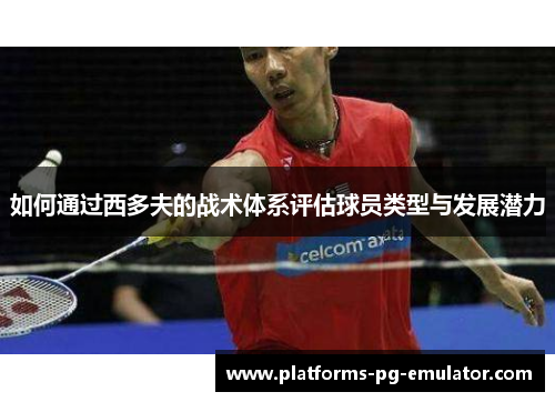 如何通过西多夫的战术体系评估球员类型与发展潜力