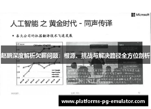 赵鹏深度解析欠薪问题：根源、挑战与解决路径全方位剖析