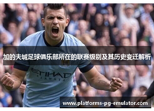 加的夫城足球俱乐部所在的联赛级别及其历史变迁解析