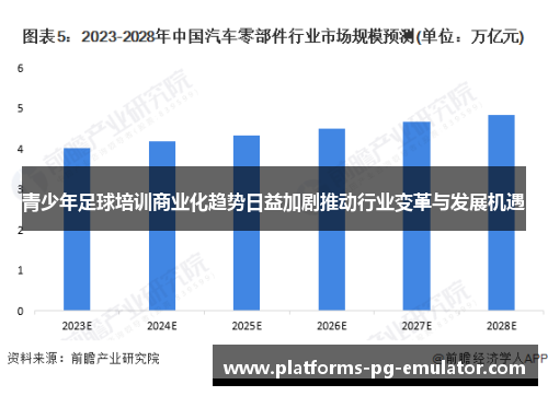 青少年足球培训商业化趋势日益加剧推动行业变革与发展机遇