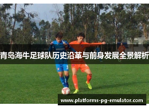 青岛海牛足球队历史沿革与前身发展全景解析
