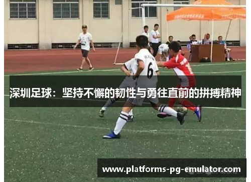 深圳足球：坚持不懈的韧性与勇往直前的拼搏精神