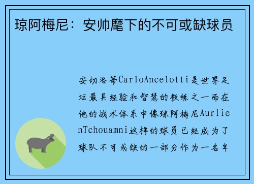 琼阿梅尼：安帅麾下的不可或缺球员