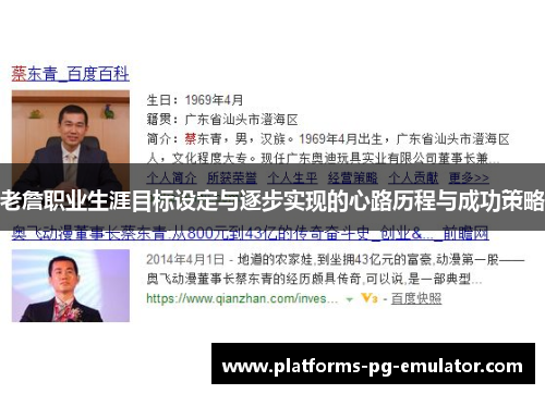 老詹职业生涯目标设定与逐步实现的心路历程与成功策略
